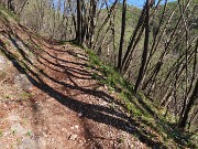 22 Le ombre a terra delle piante baciate dal sole ed elevate al cielo 